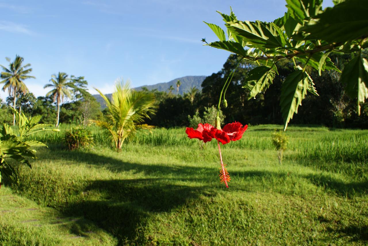 Prana Dewi Mountain Resort Jatiluwih Exterior foto