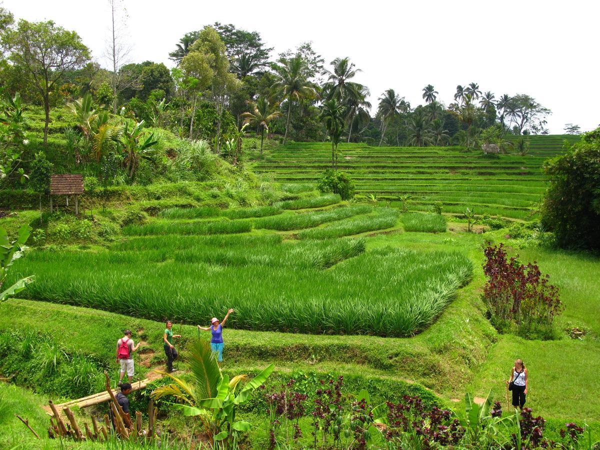 Prana Dewi Mountain Resort Jatiluwih Exterior foto