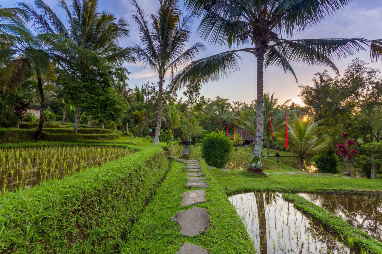 Prana Dewi Mountain Resort Jatiluwih Exterior foto