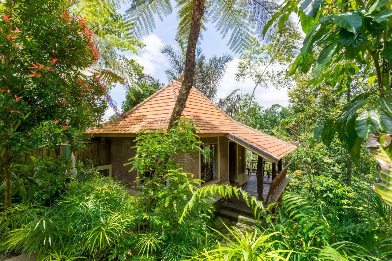 Prana Dewi Mountain Resort Jatiluwih Zimmer foto